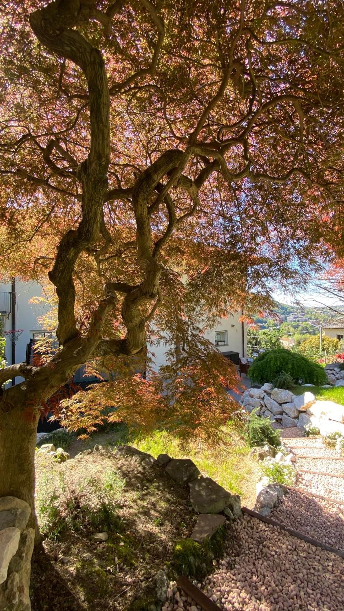 Villa I Faggi Rossi - Red Beech Trees à Côme Extérieur photo